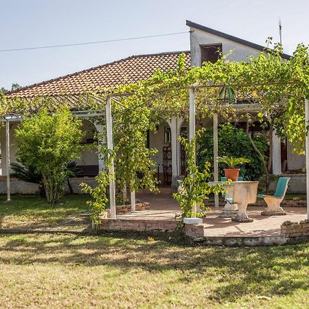 Villa Oidor - Cilento Ascea Ngoại thất bức ảnh